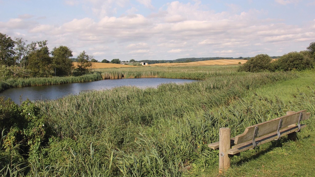 Photo of Others in Hejlsminde
