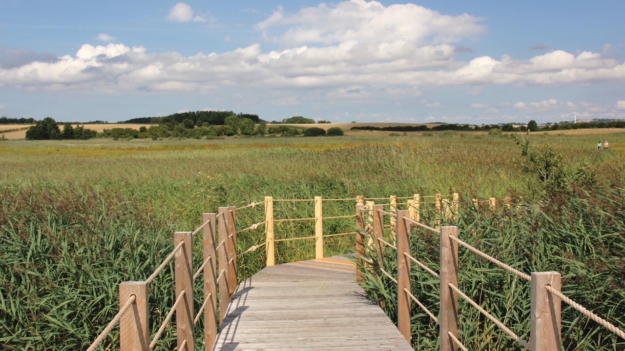 Photo of Others in Hejlsminde