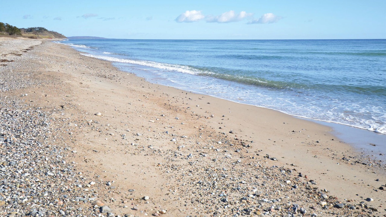 Photo of Others in Elsegarde Strand
