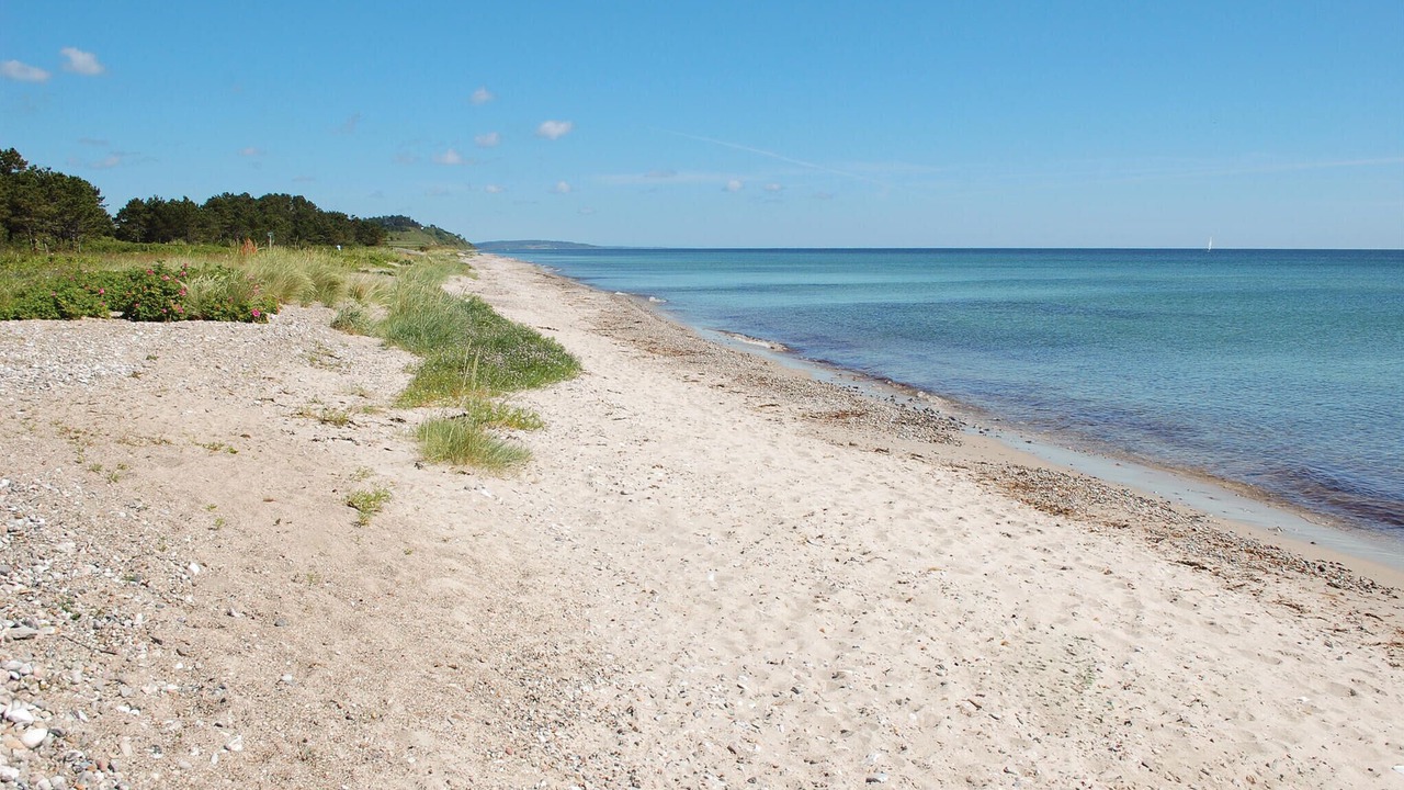 Photo of Others in Elsegarde Strand