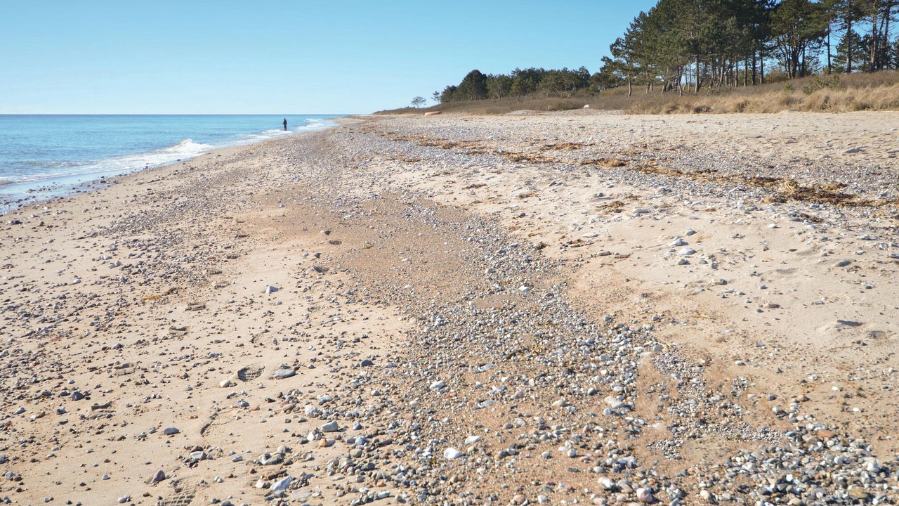 Photo of Others in Elsegarde Strand