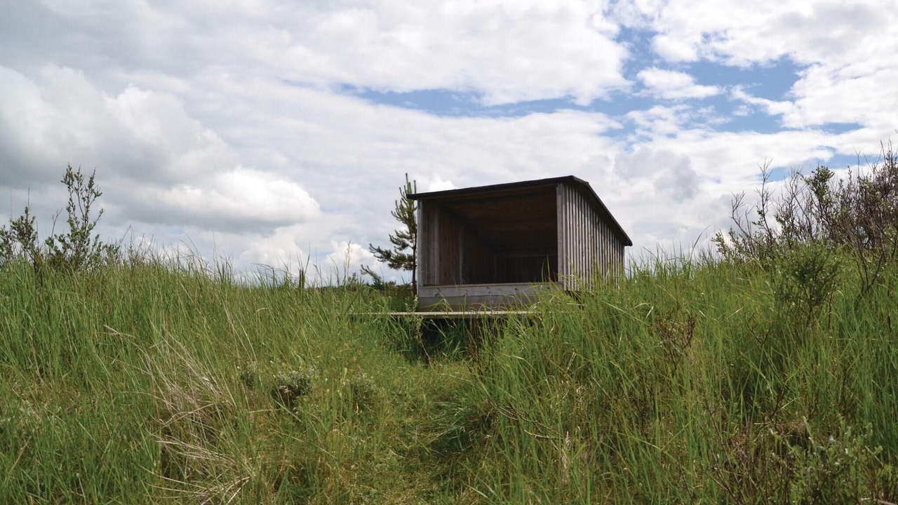 Photo of Outdoor in Hirtshals