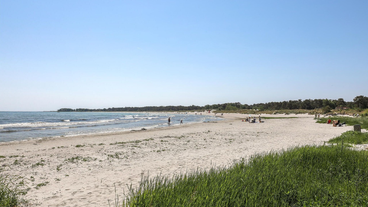 Photo of Others in Balka Strand