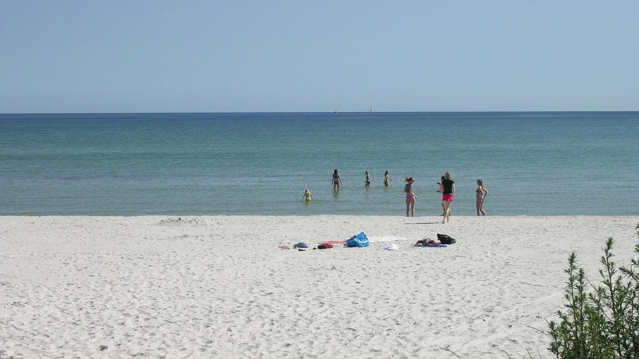 Photo of Others in Ronne