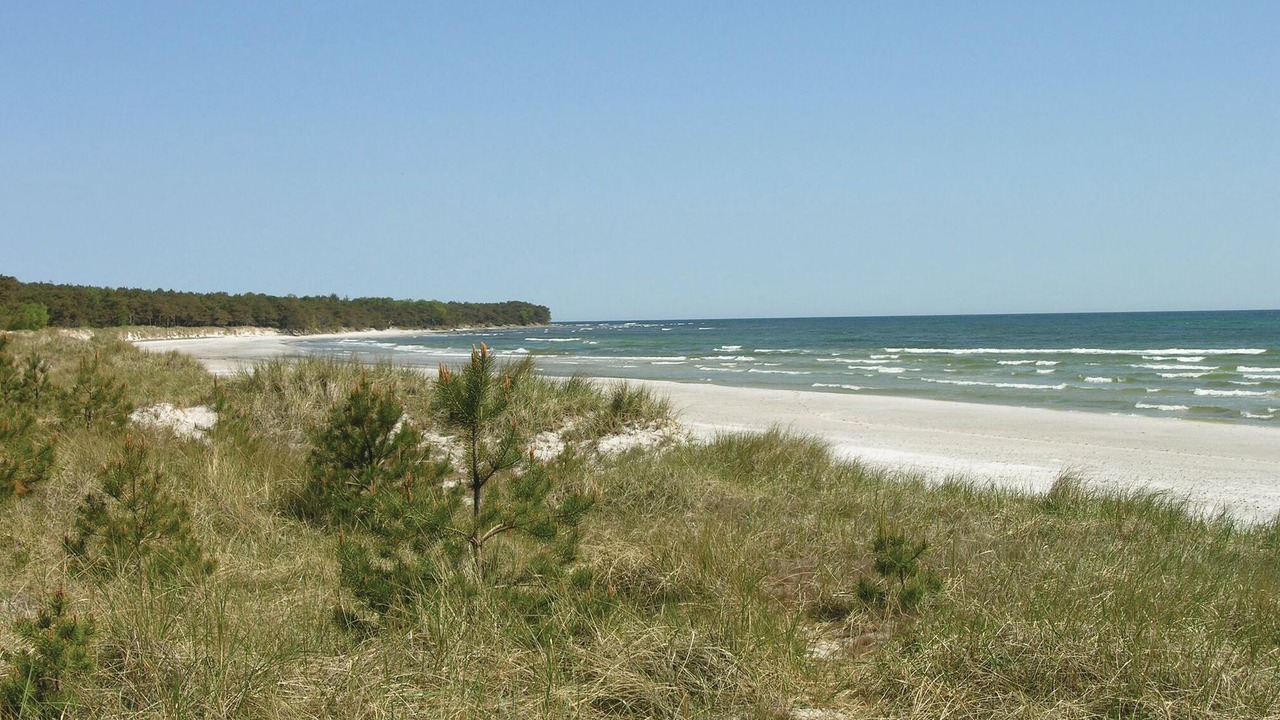 Photo of Others in Ronne