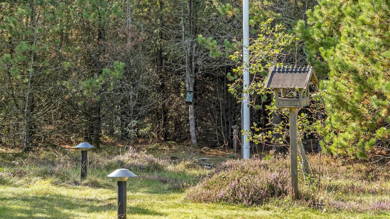 Photo of Others in Jerup