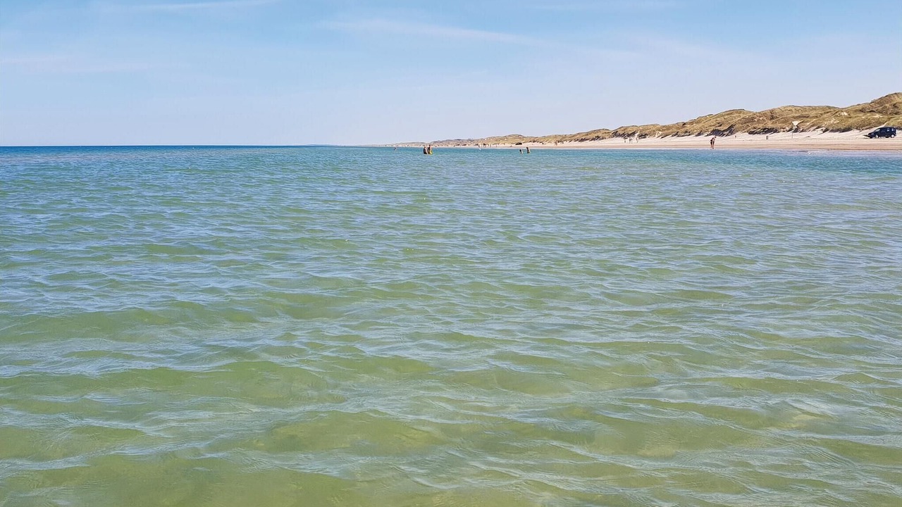 Photo of Others in Blokhus