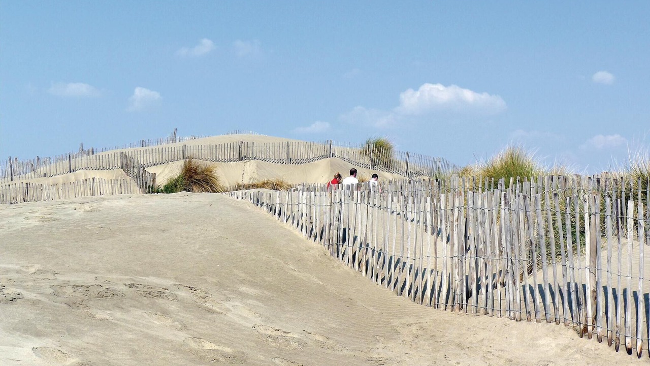 Photo of Others in Aigues-Mortes