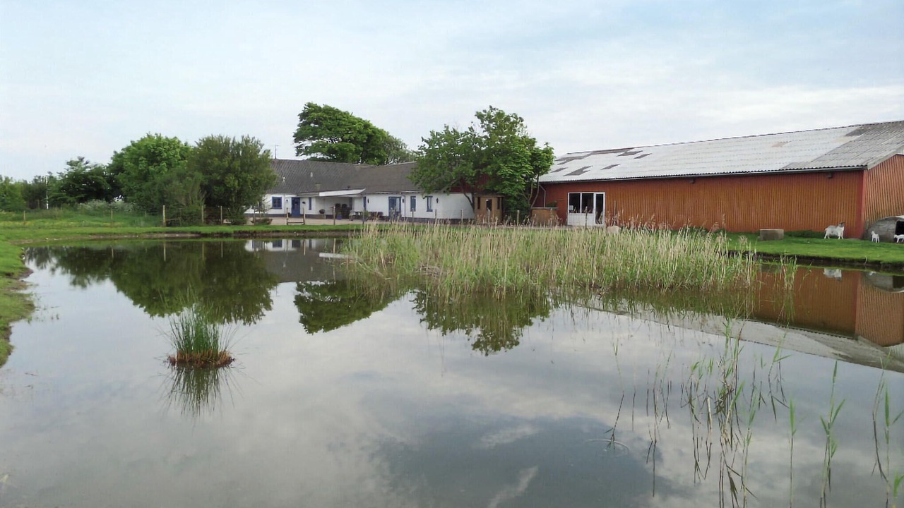 Photo of Others in Bramming