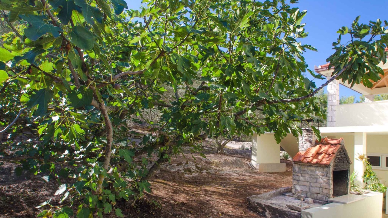 Photo of Outdoor in Blato