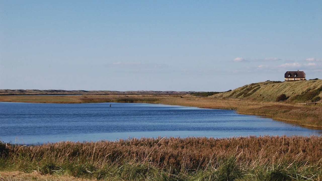 Photo of Others in Hvide Sande