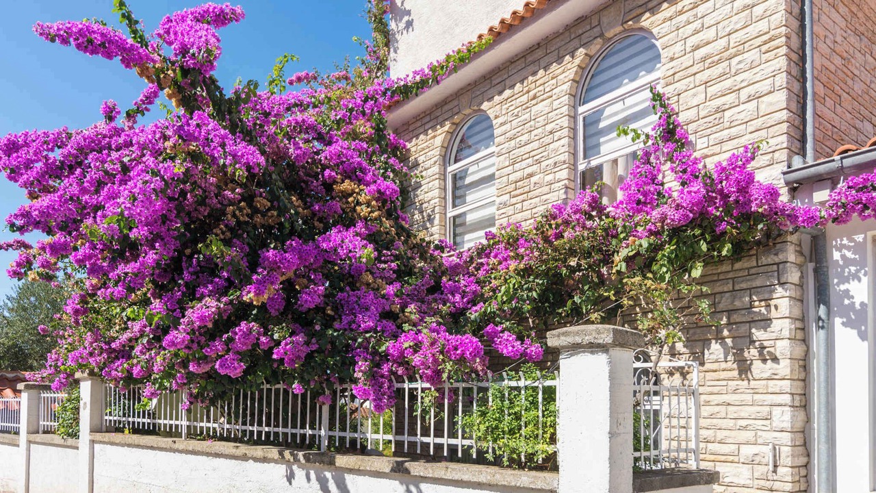 Photo of Outdoor in Biograd na Moru