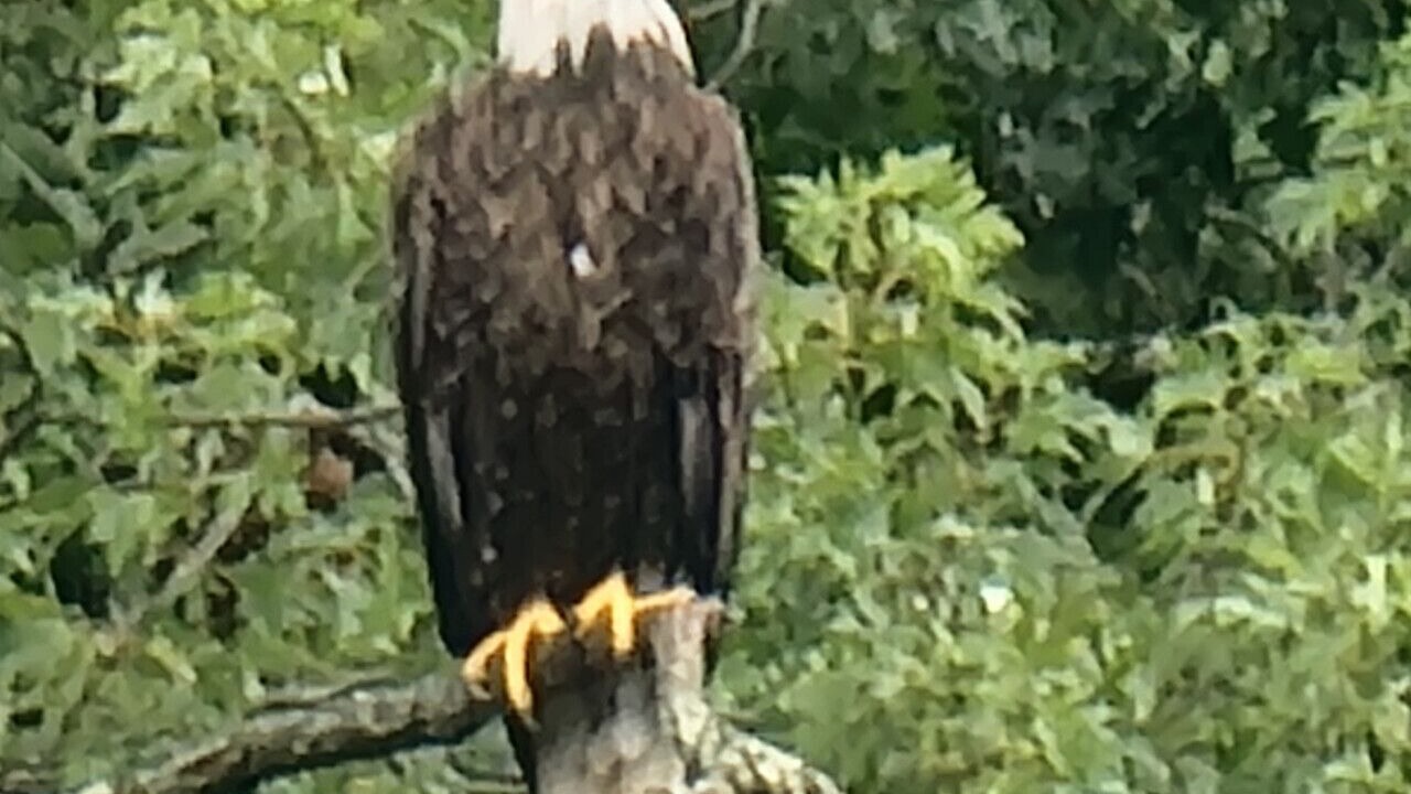 Photo of Others in Pine City