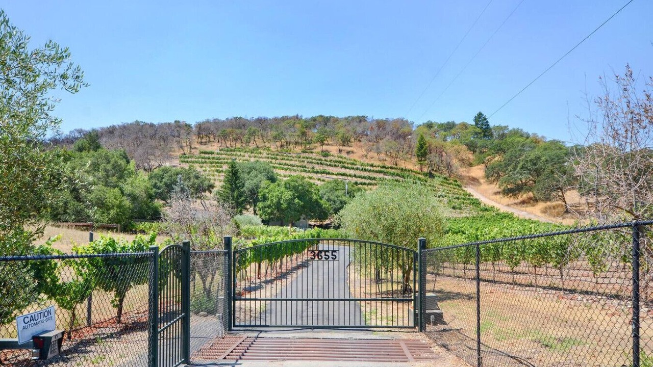 Photo of Others in Sonoma