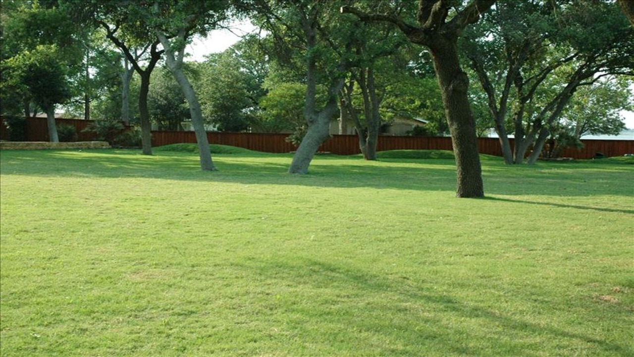 Photo of Outdoor in McNeil