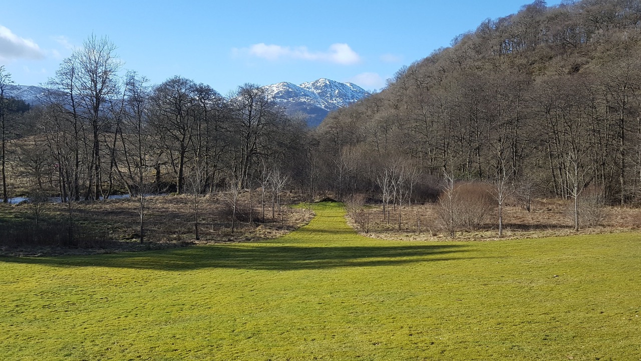 Photo of Outdoor in Saddell