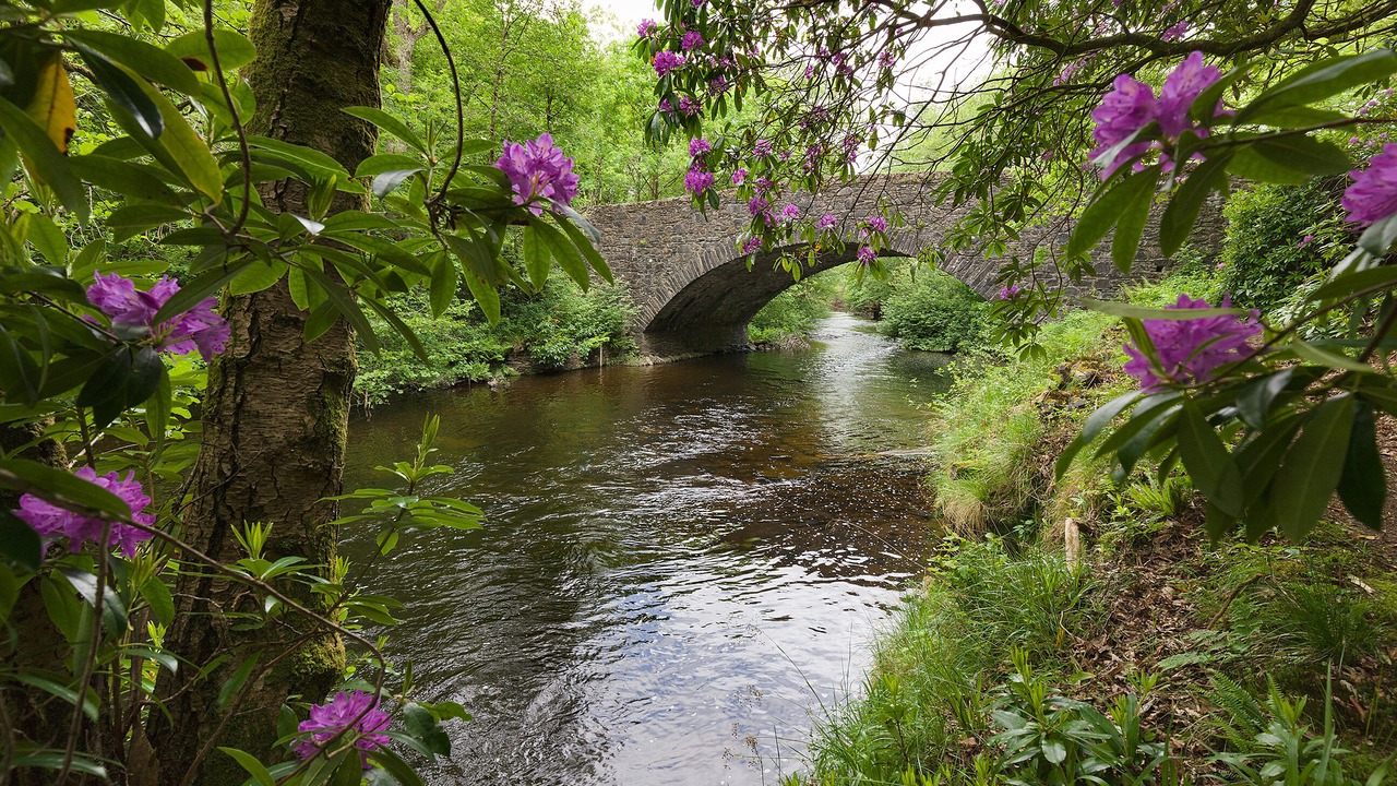 Photo of Outdoor in Saddell