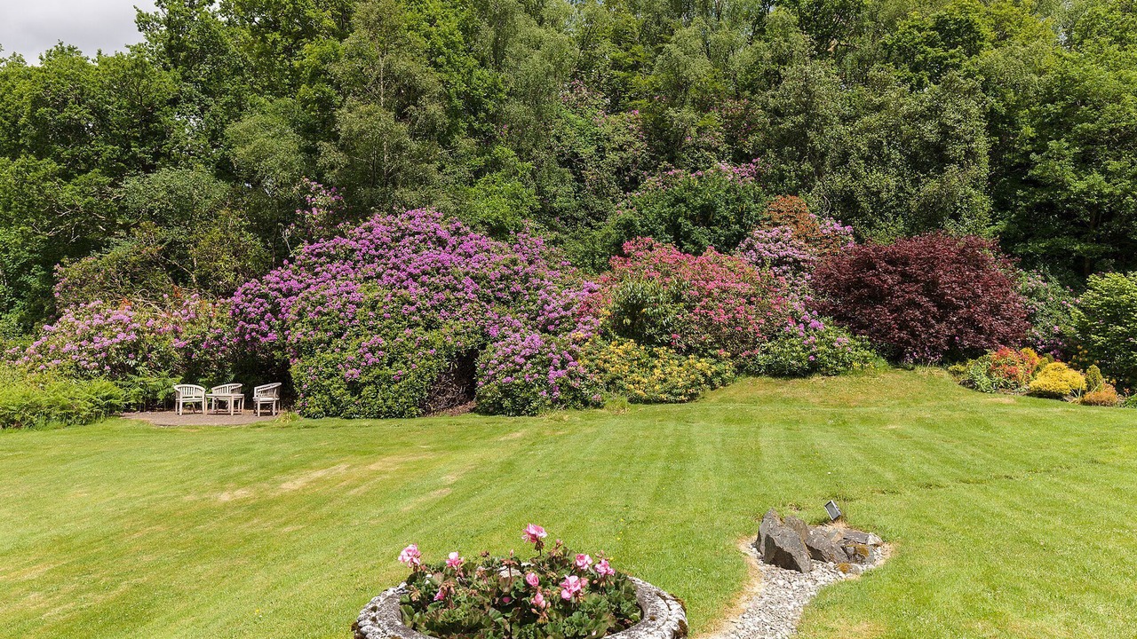 Photo of Outdoor in Saddell