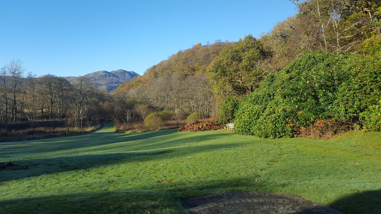 Photo of Others in Saddell