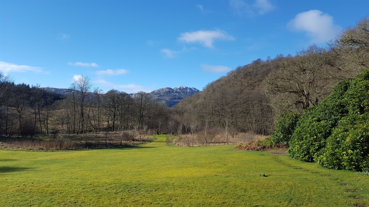 Photo of Others in Saddell