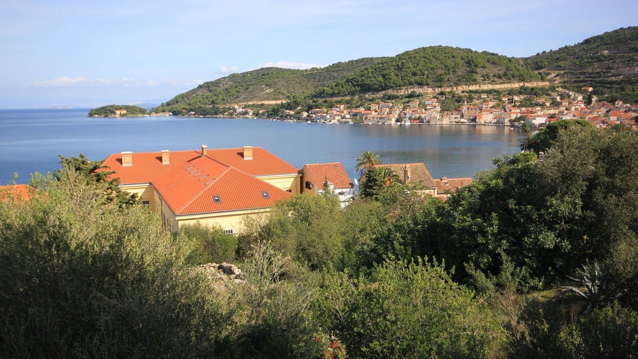 Photo of Others in Vis