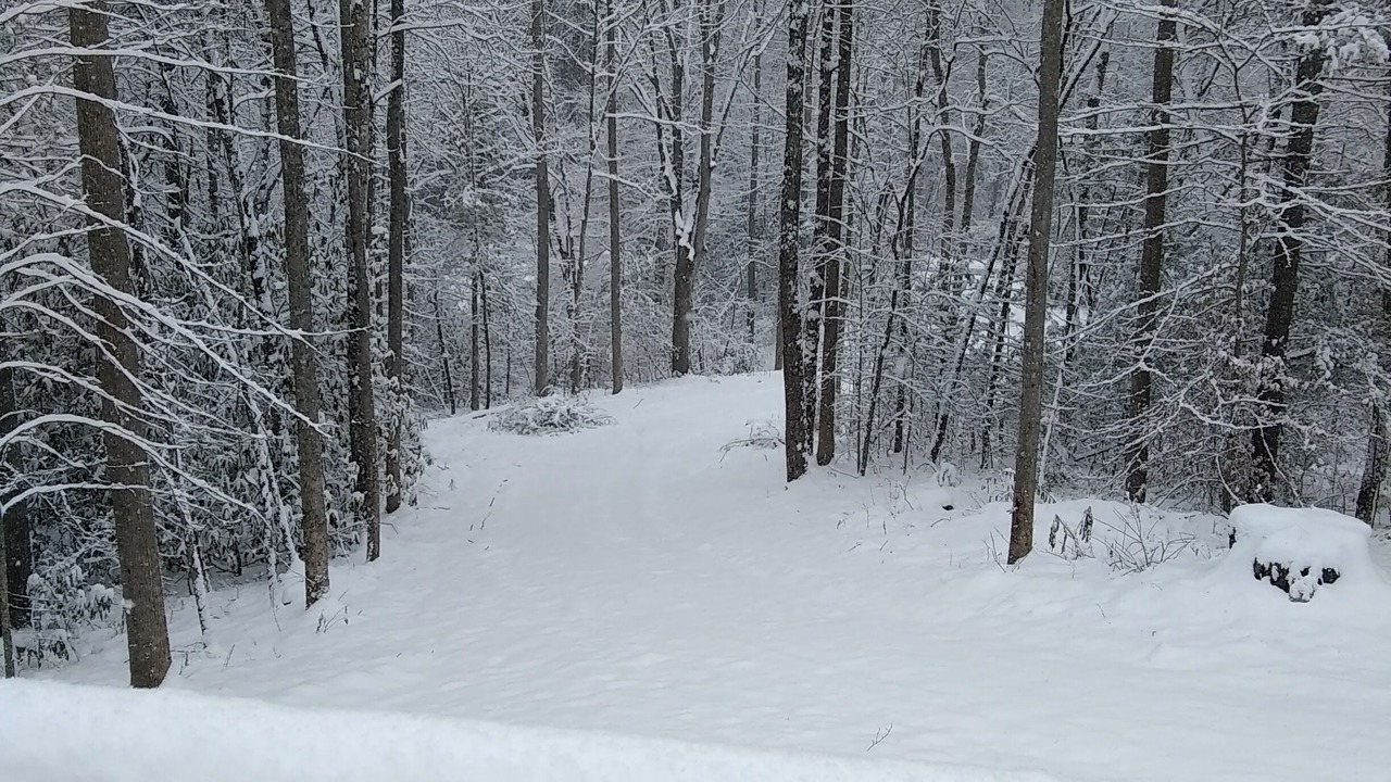 Photo of Others in Hendersonville