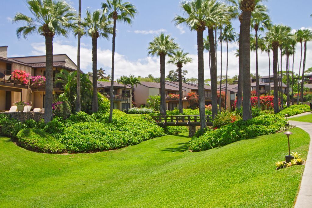 Photo of Outdoor in Wailea