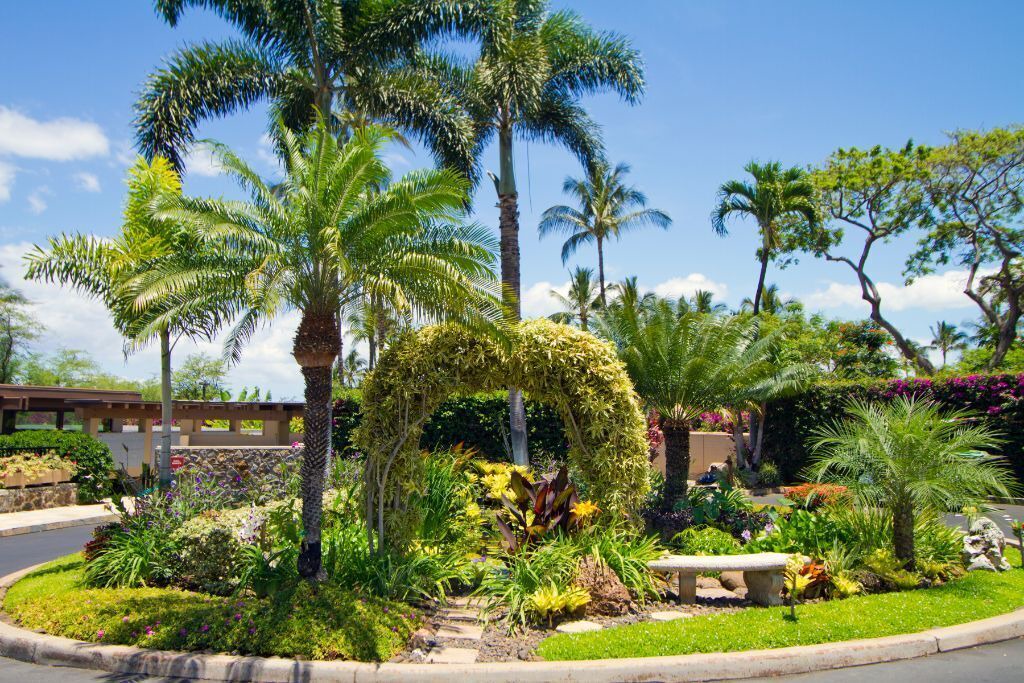Photo of Outdoor in Wailea