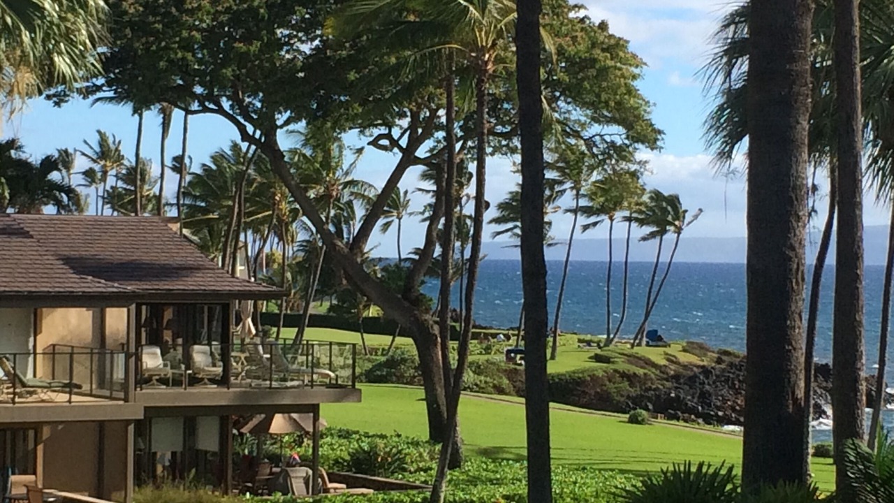 Photo of Outdoor in Wailea