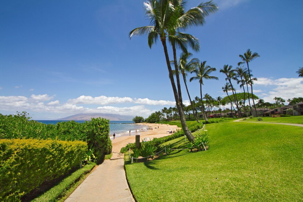 Photo of Others in Wailea