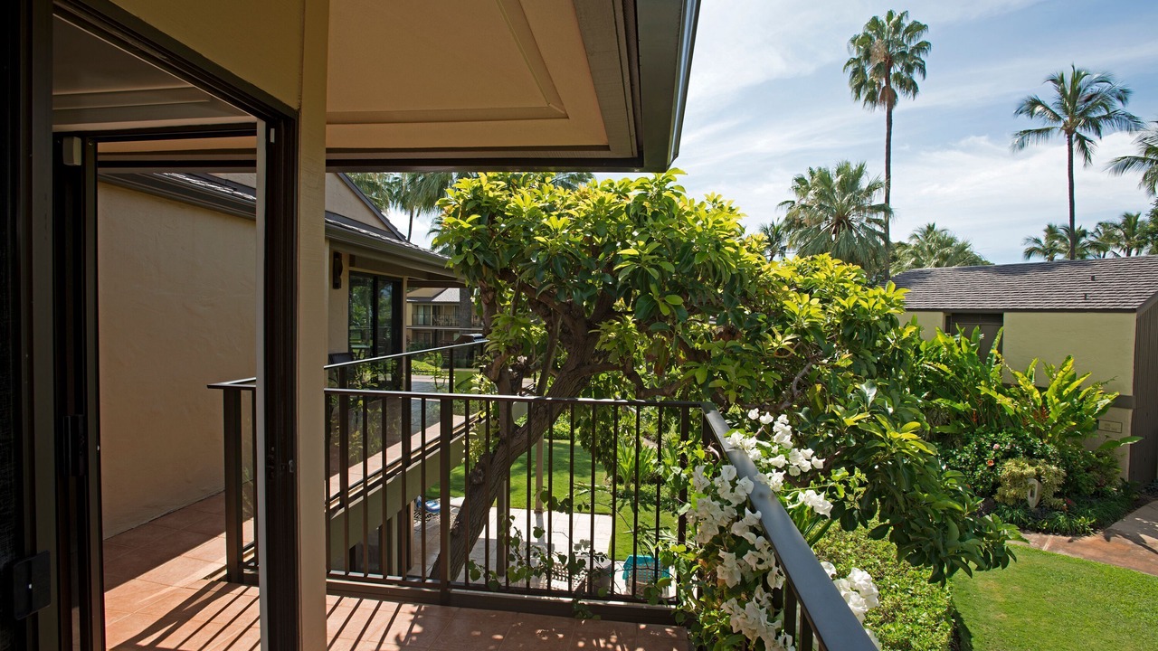 Photo of Outdoor in Wailea