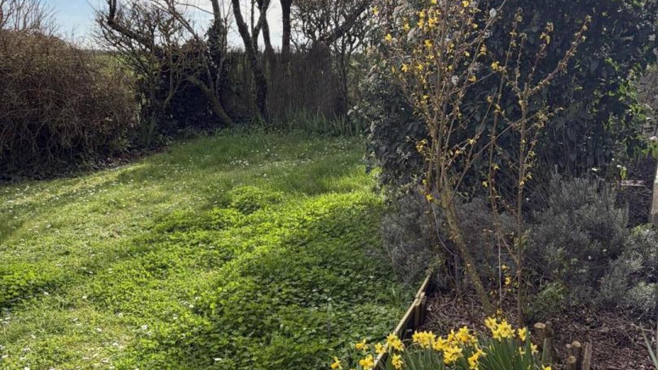 Photo of Outdoor in Luzille