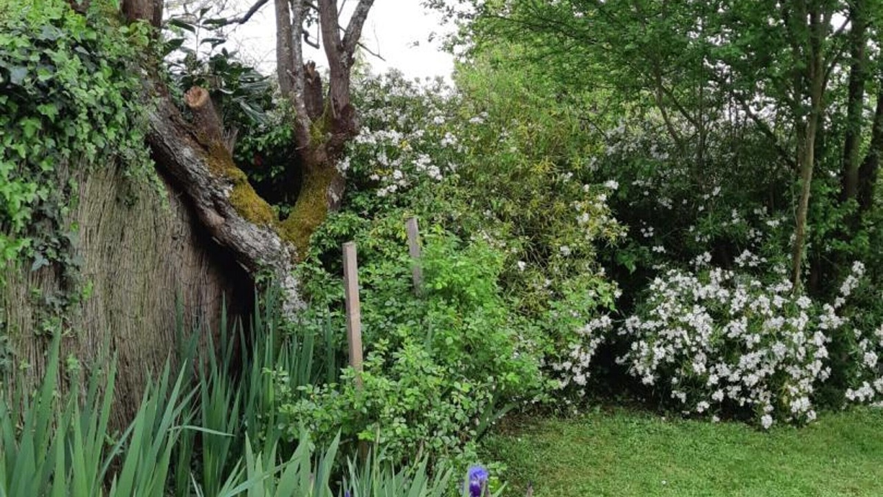 Photo of Outdoor in Luzille