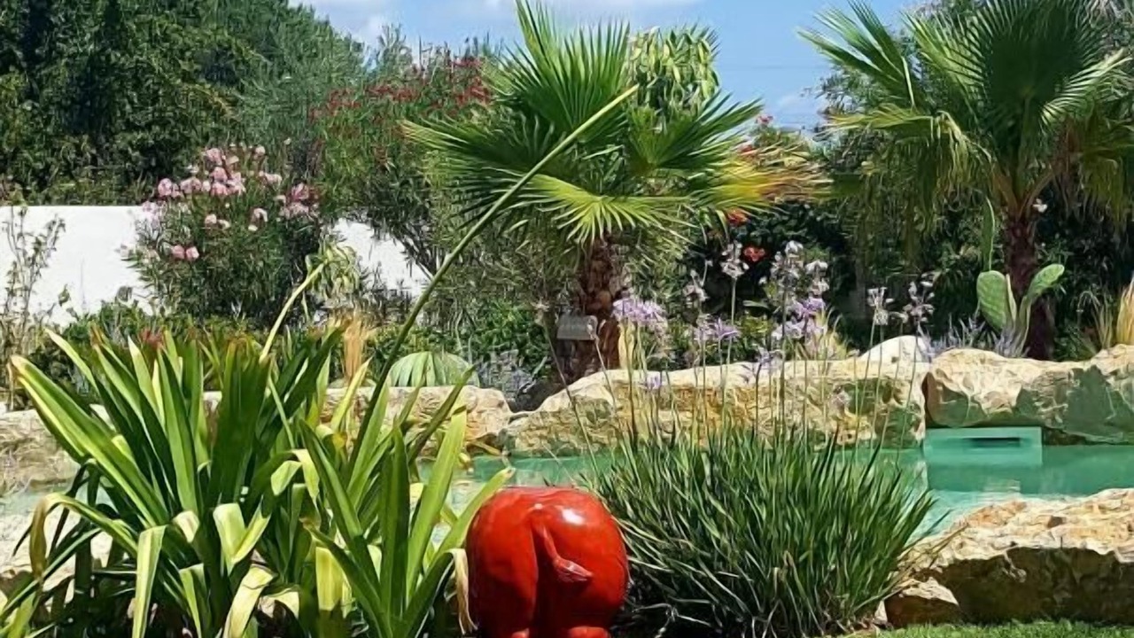 Photo of Outdoor in Gonfaron