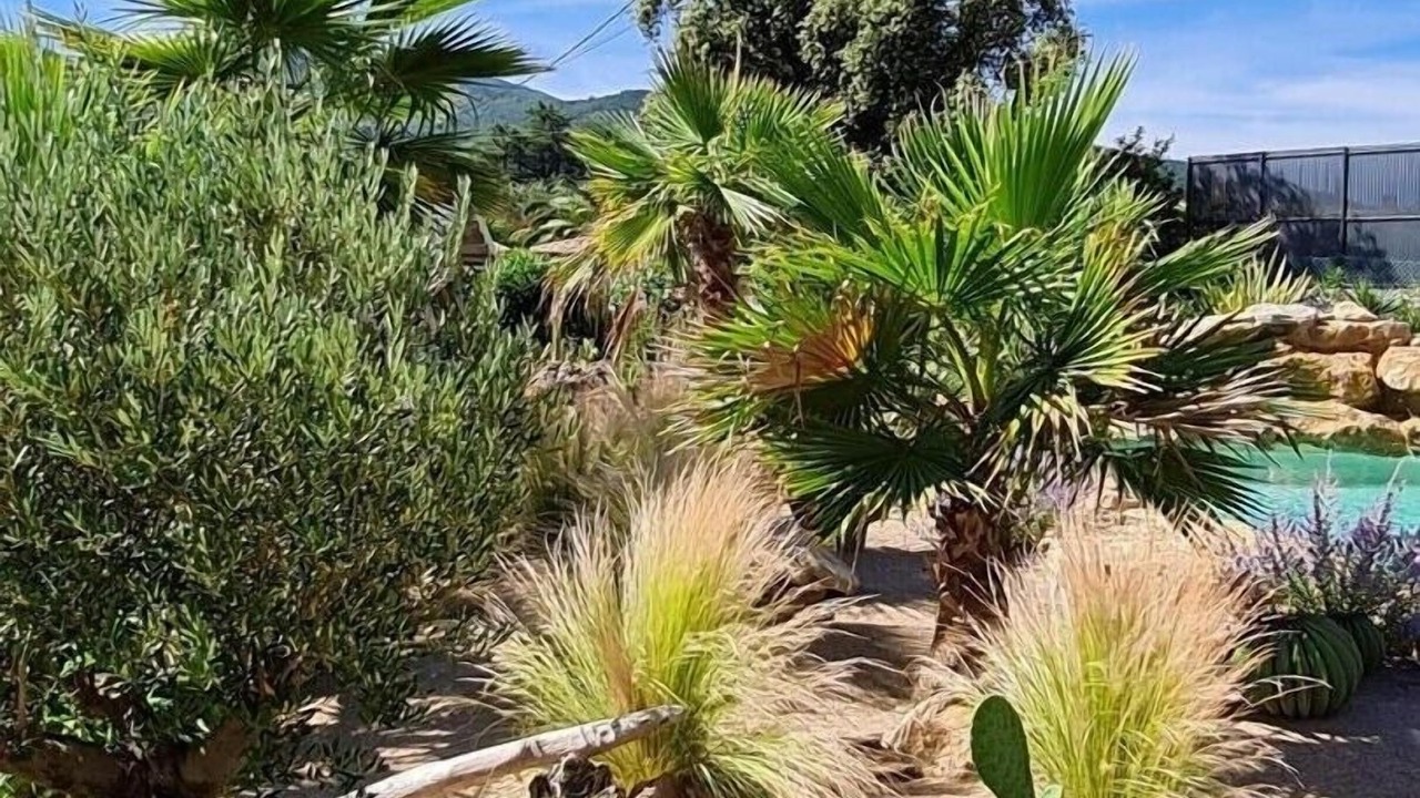 Photo of Outdoor in Gonfaron