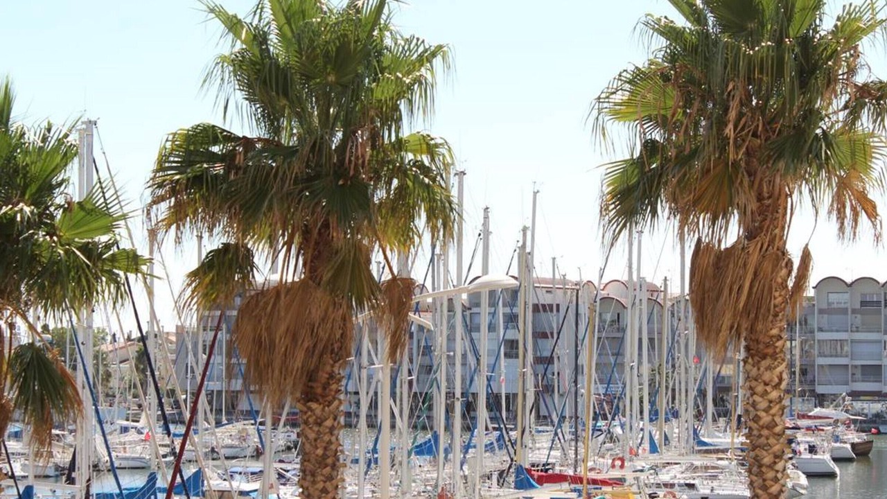 Photo of Others in Port Rive Gauche