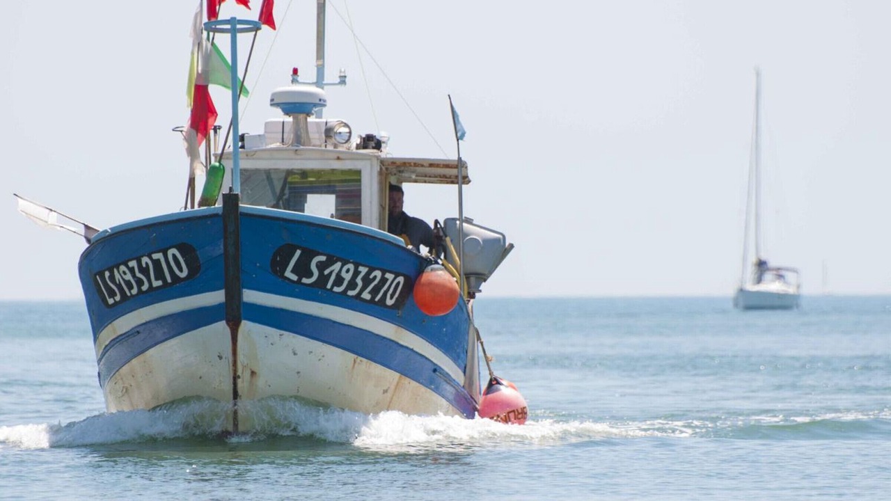 Photo of Others in Les Sables d'Olonne