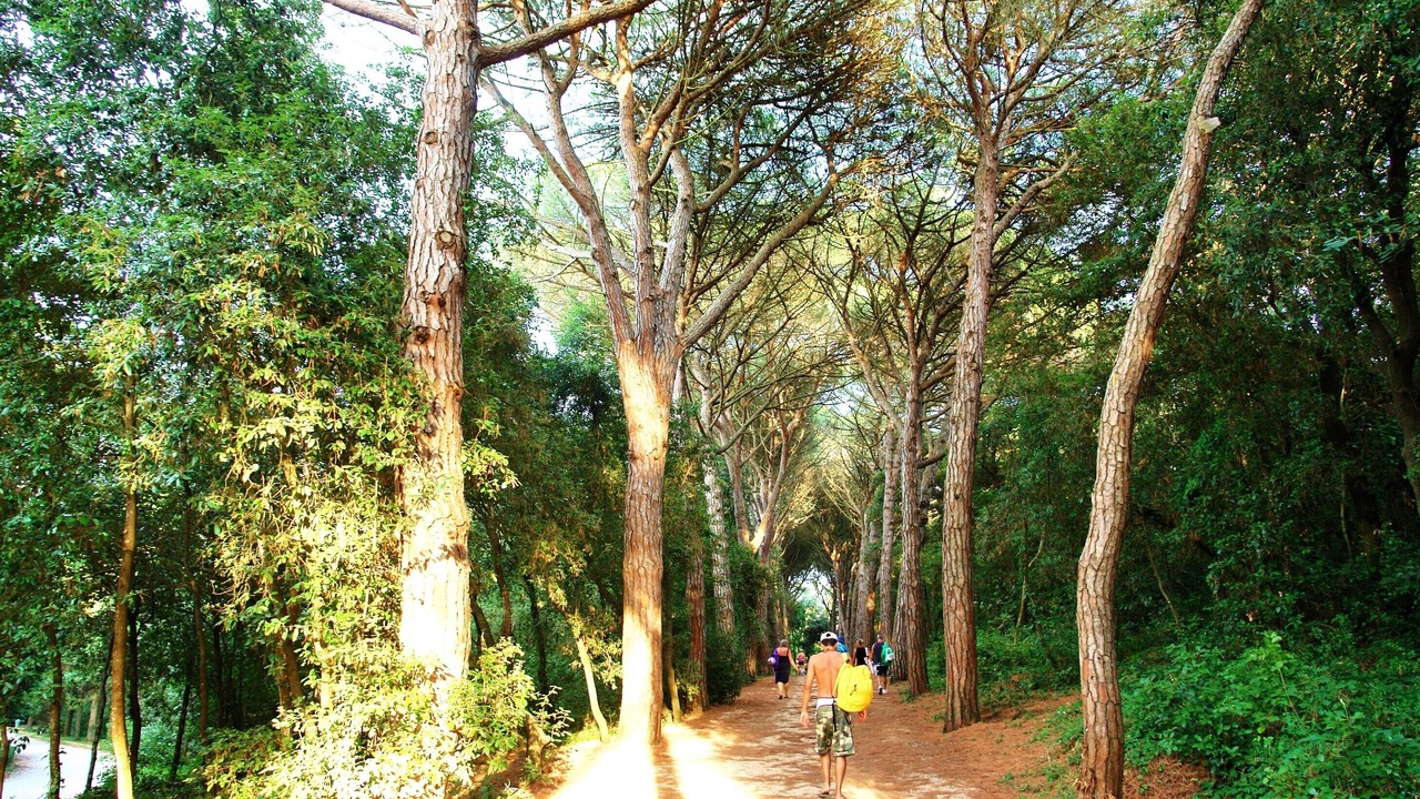 Photo of Outdoor in Rovinjsko Selo
