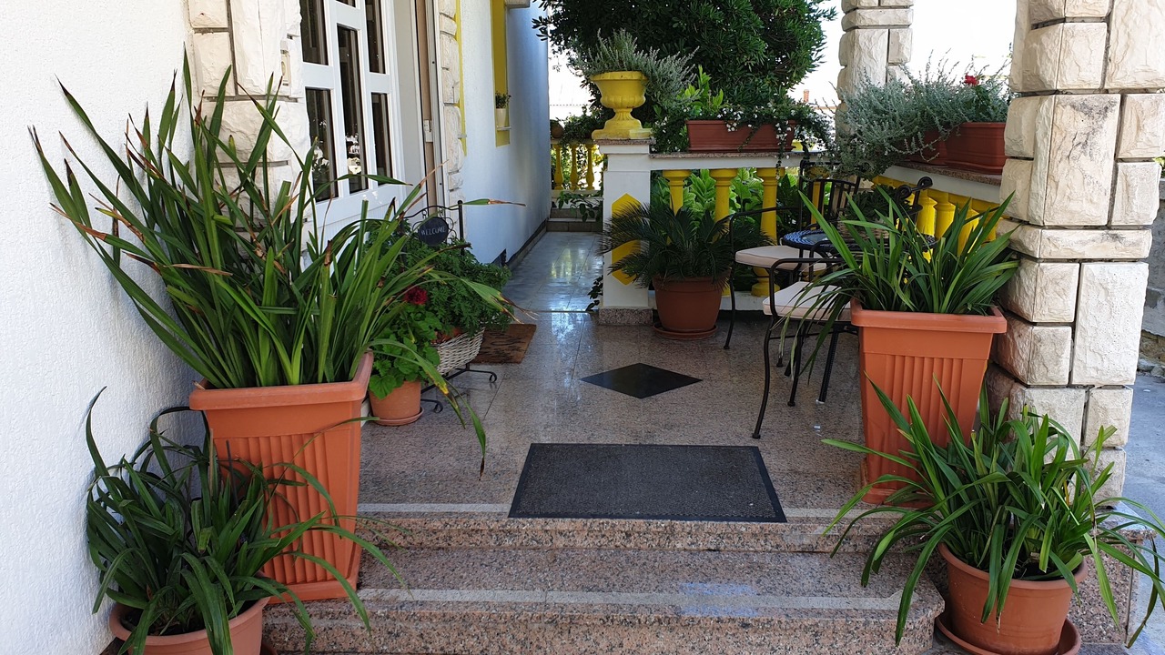 Photo of Outdoor in Banjol