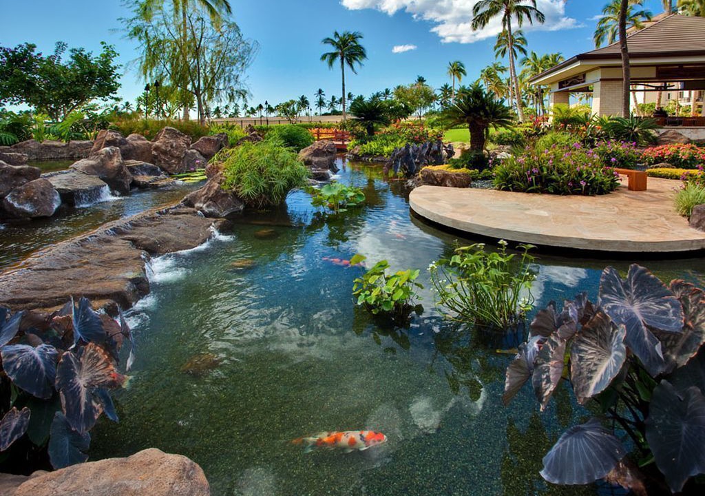 Photo of Others in Ko Olina