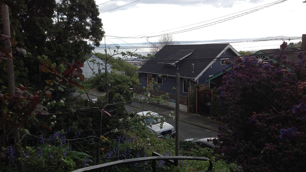Photo of Others in West Queen Anne