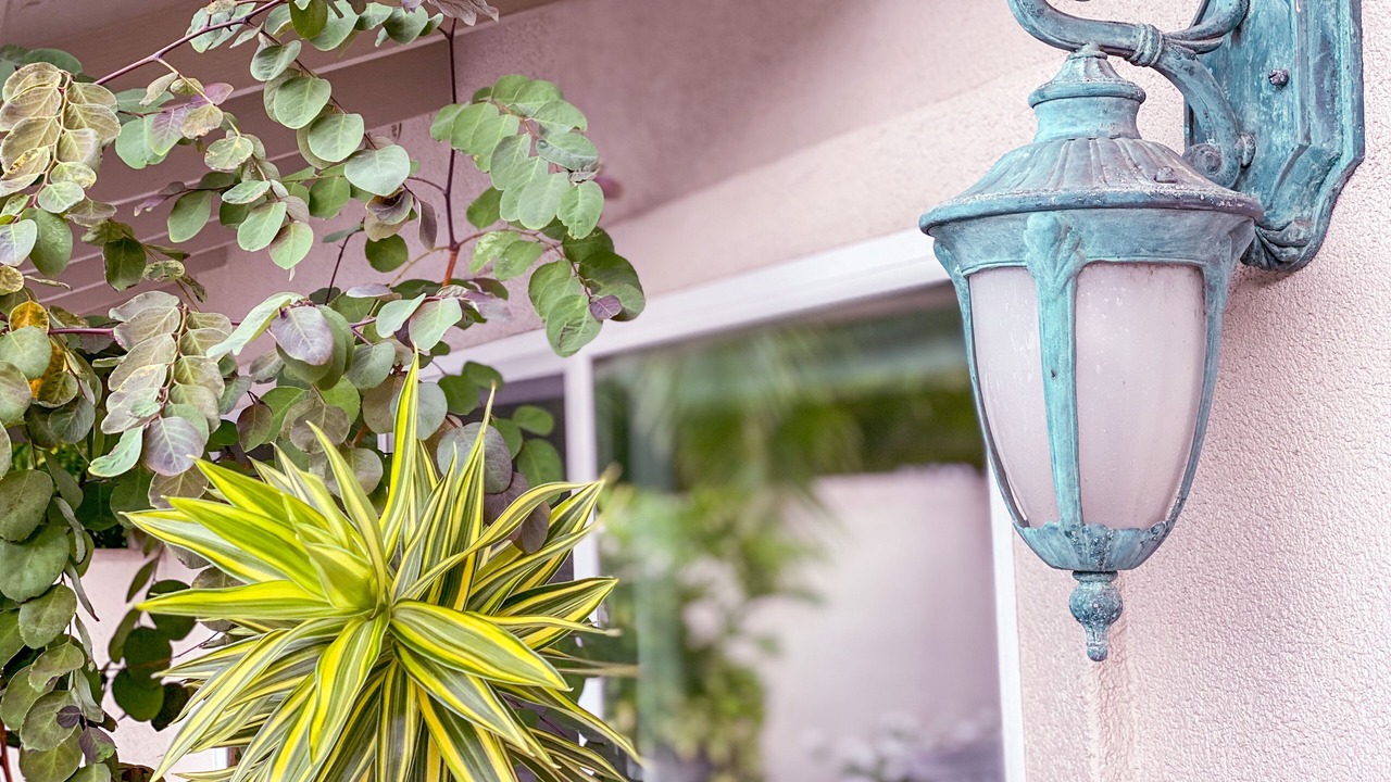 Photo of Outdoor in Portlock