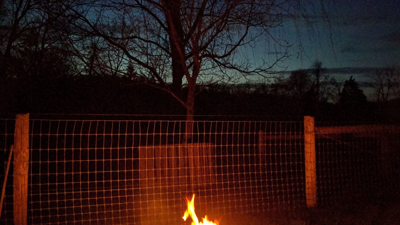 Photo of Others in Reinholds