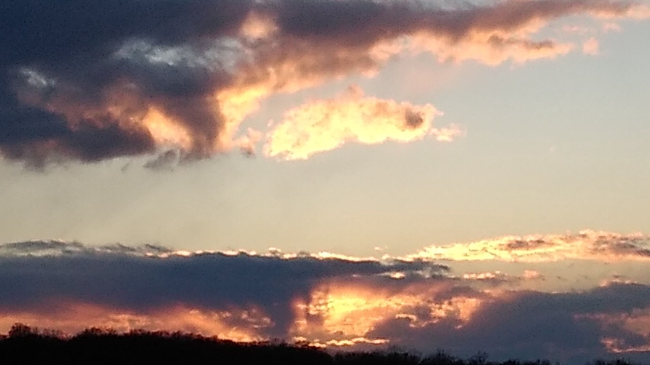 Photo of Others in Reinholds