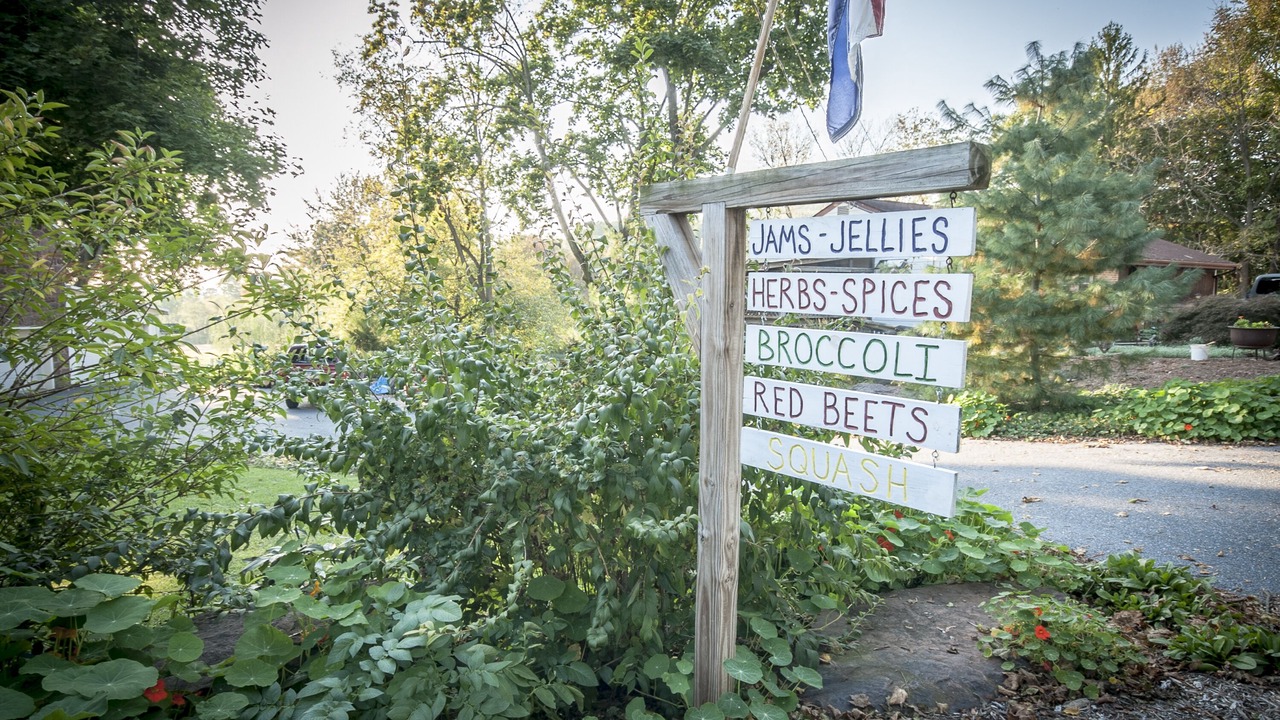 Photo of Outdoor in Reinholds