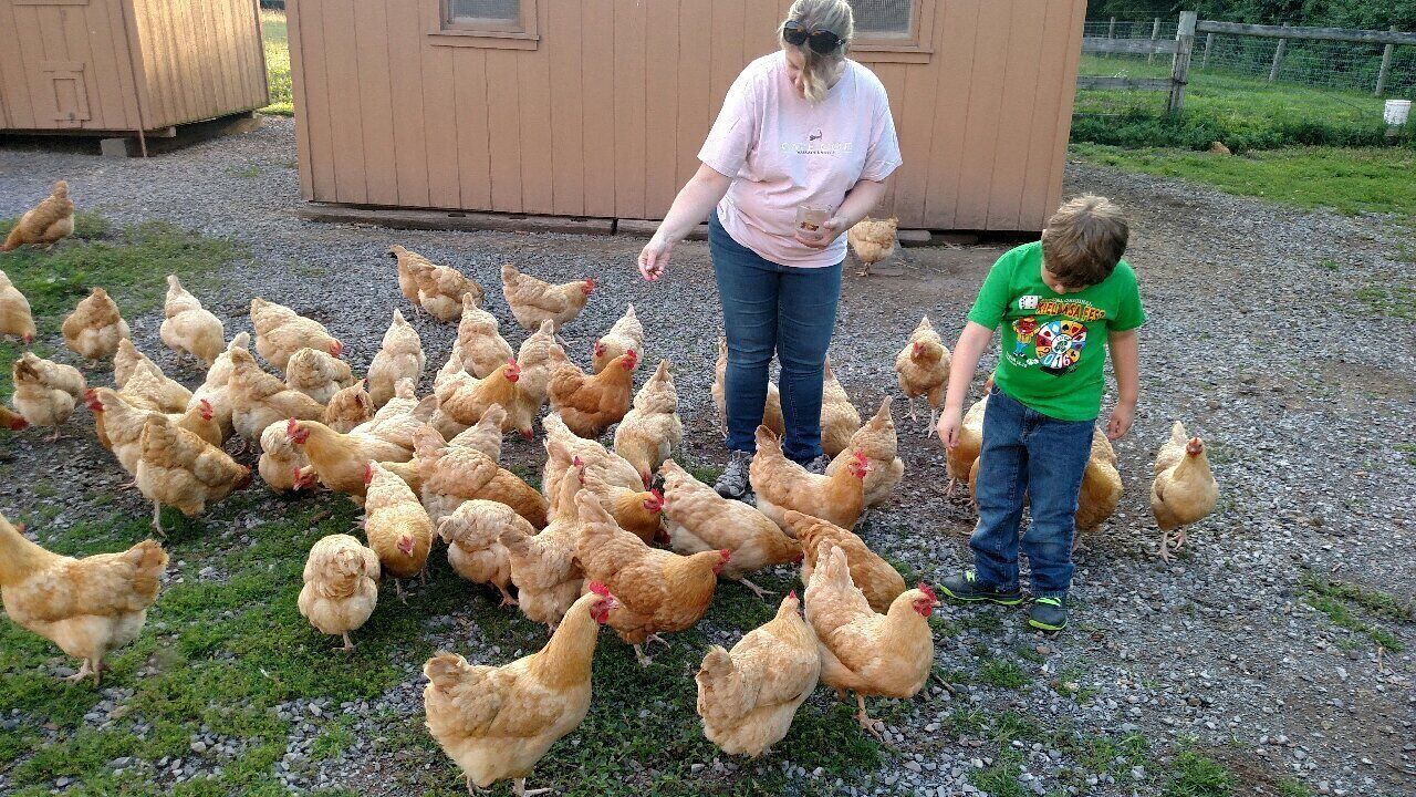 Photo of Others in Reinholds