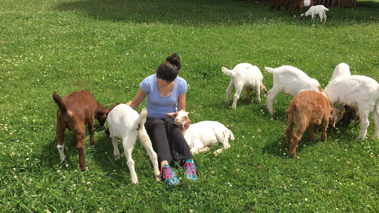 Photo of Others in Reinholds