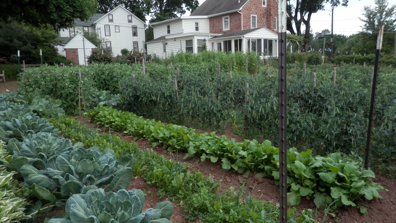 Photo of Others in Reinholds