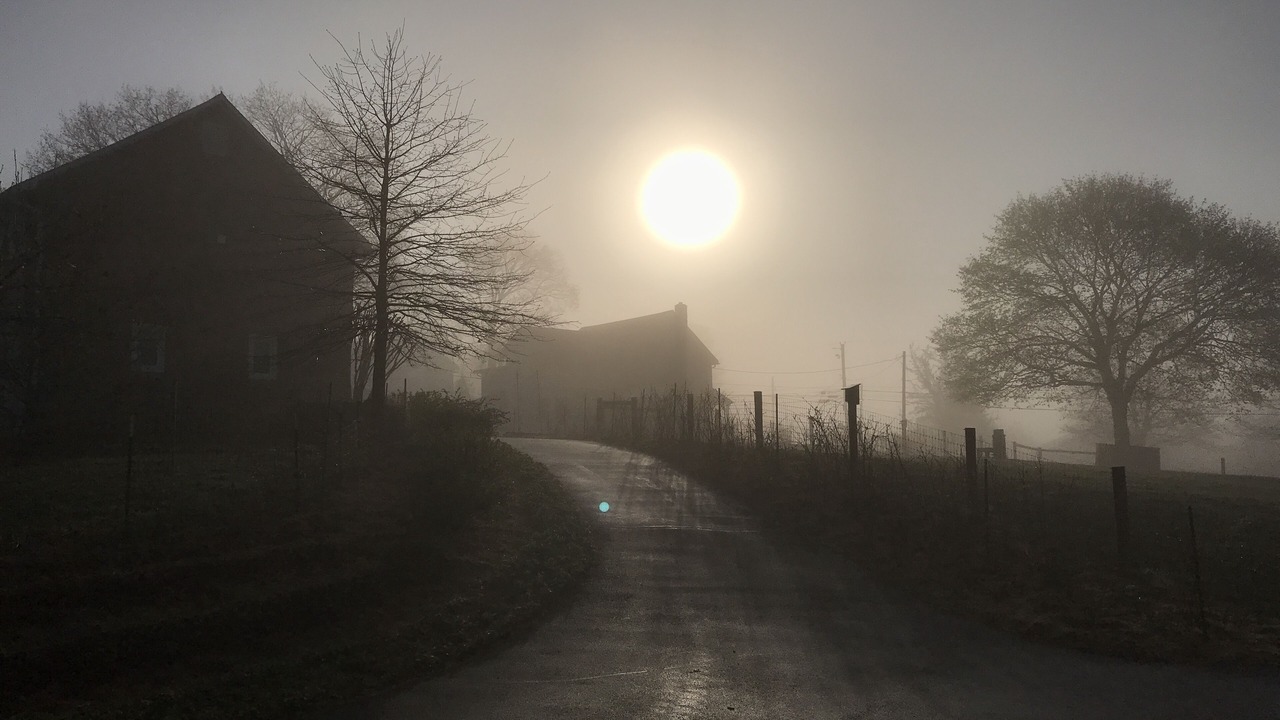 Photo of Others in Reinholds