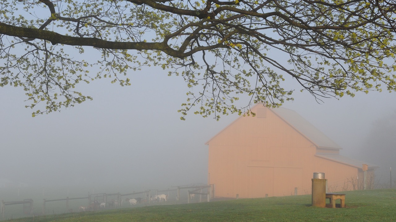 Photo of Others in Reinholds